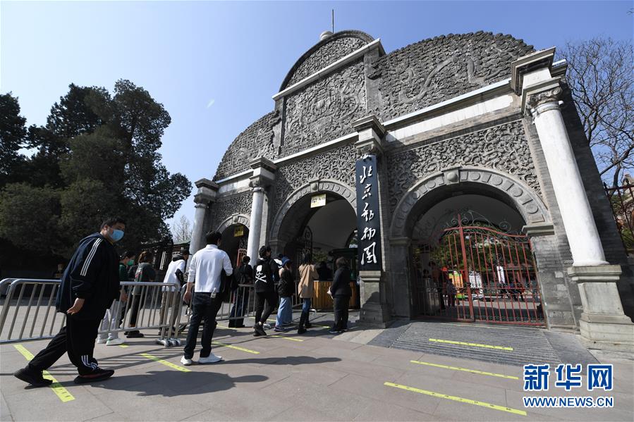 （社會）（1）北京動物園恢復開園