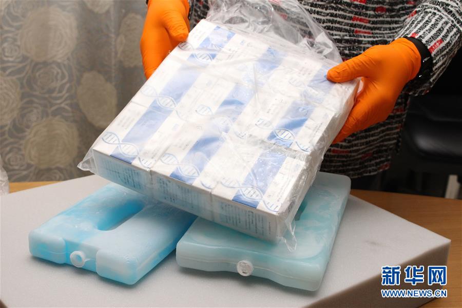 (新华全媒头条·图文互动)(5)守望相助 共克时艰——中国力量推动全球合力战“疫”