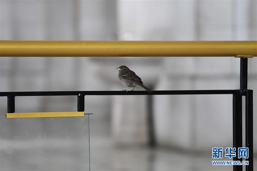 (国际疫情)(5)约翰斯·霍普金斯大学:美国新冠肺炎确诊病例超过14万例