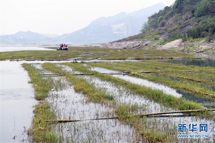 (图文互动)(1)长江鱼的新家