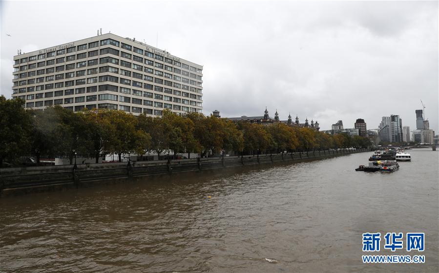 (国际疫情)(4)英国首相约翰逊被转入重症监护室