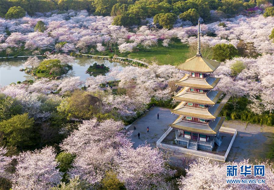 （新华全媒头条&middot;图文互动）（21）武汉战&ldquo;疫&rdquo;中的铭记时刻