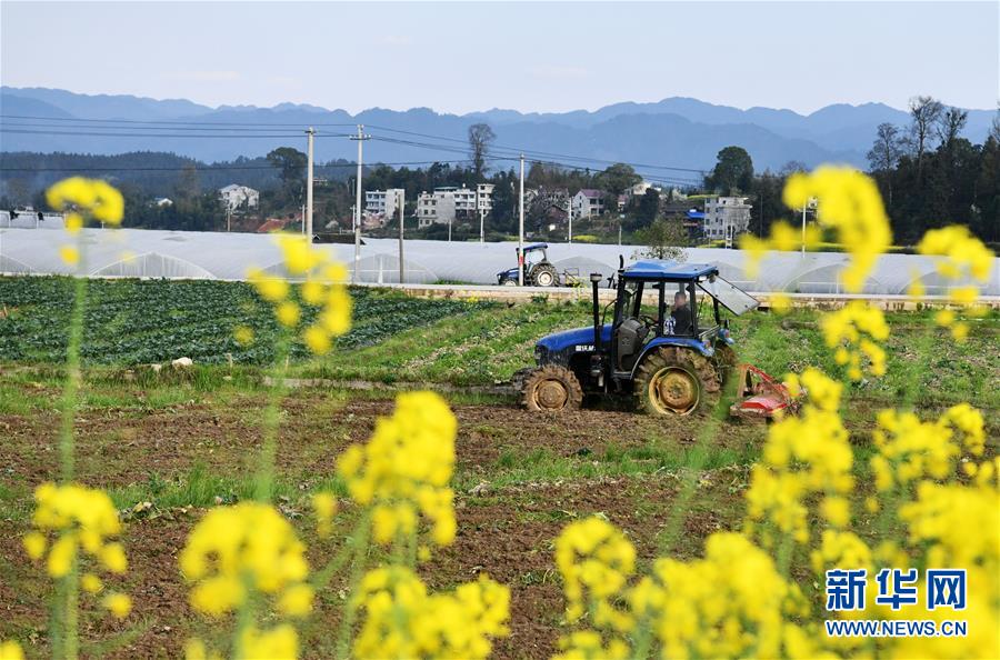 (决战决胜脱贫攻坚·图文互动)(3)贵州黔东南:抢抓坝区春耕 决胜脱贫攻坚