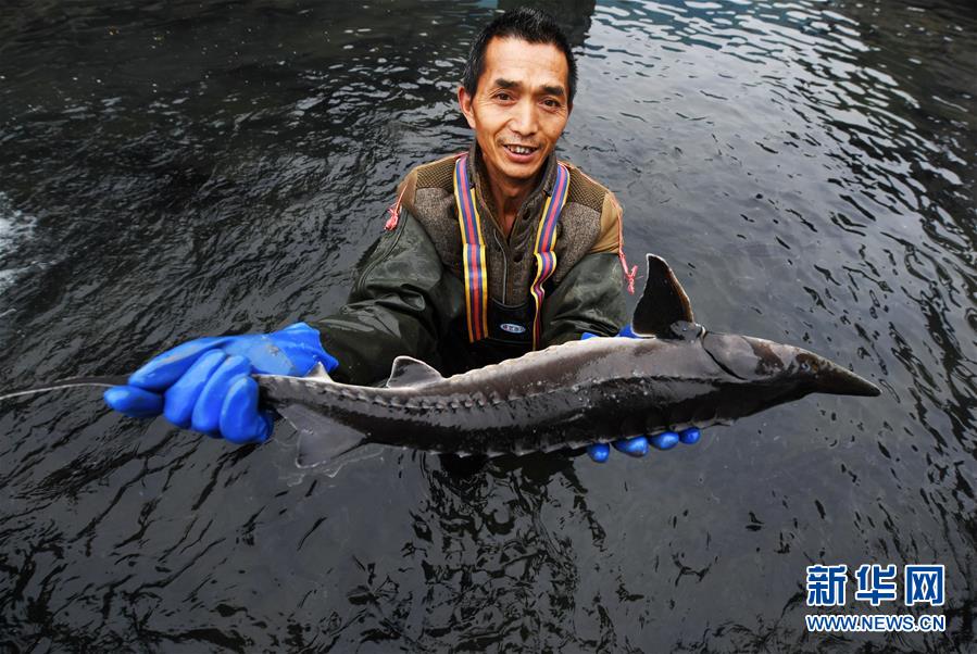 (决战决胜脱贫攻坚·图文互动)(4)多重保障 不漏一人——贵州一个脱贫“摘帽”县的防贫机制探索