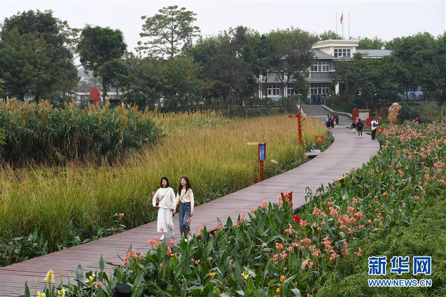 (新华全媒头条·图文互动)(4)为有源头清水来——深圳“驯水记”