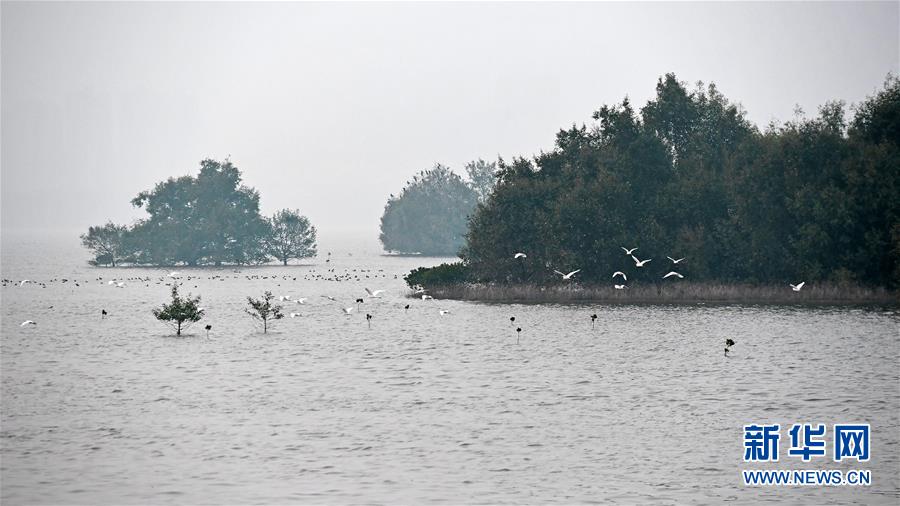 (新华全媒头条·图文互动)(5)为有源头清水来——深圳“驯水记”