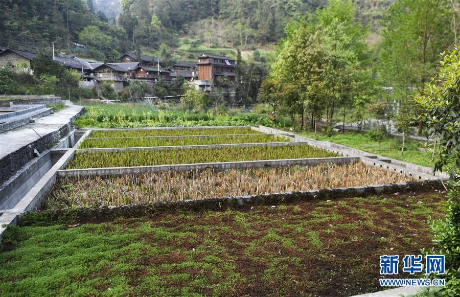 (图文互动)(3)“消失”的小南海