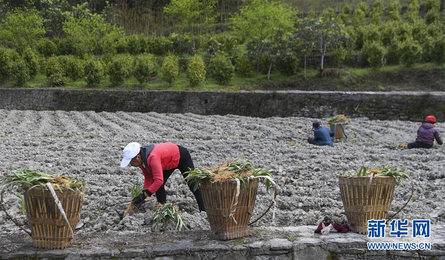 (图文互动)(7)“消失”的小南海