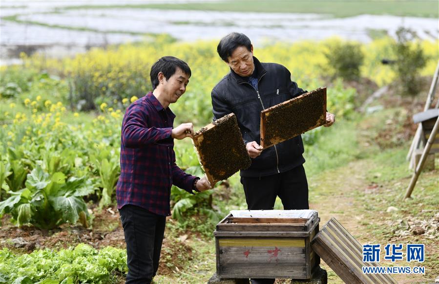 (决战决胜脱贫攻坚·图文互动)(2)一位农民的产业扶贫成绩单