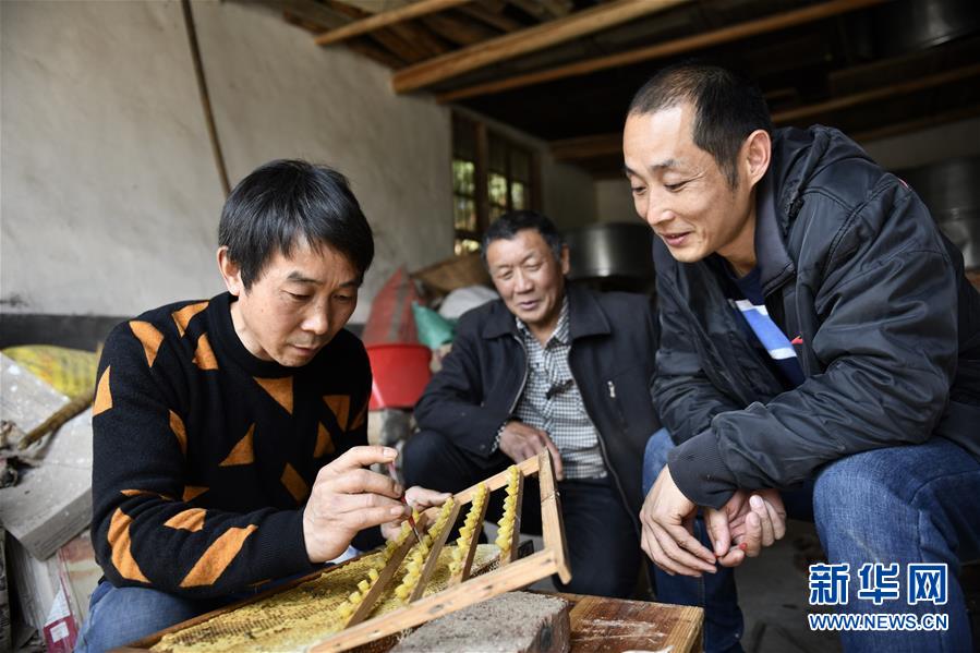 (决战决胜脱贫攻坚·图文互动)(3)一位农民的产业扶贫成绩单