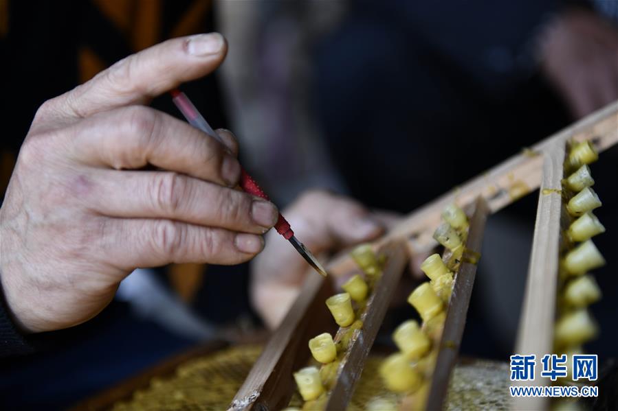 (决战决胜脱贫攻坚·图文互动)(4)一位农民的产业扶贫成绩单