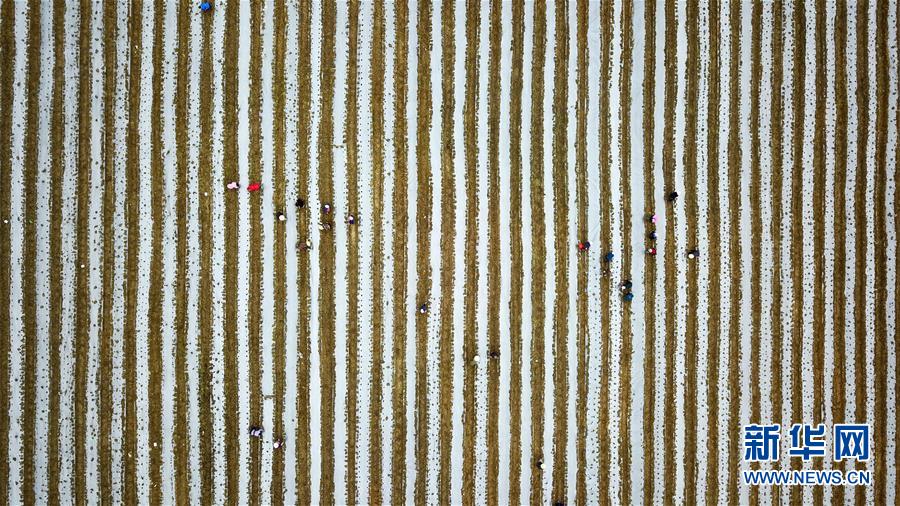 (在习近平新时代中国特色社会主义思想指引下——新时代新作为新篇章·习近平总书记关切事·图文互动)(6)啃下最后的硬骨头——脱贫攻坚挂牌督战进行时