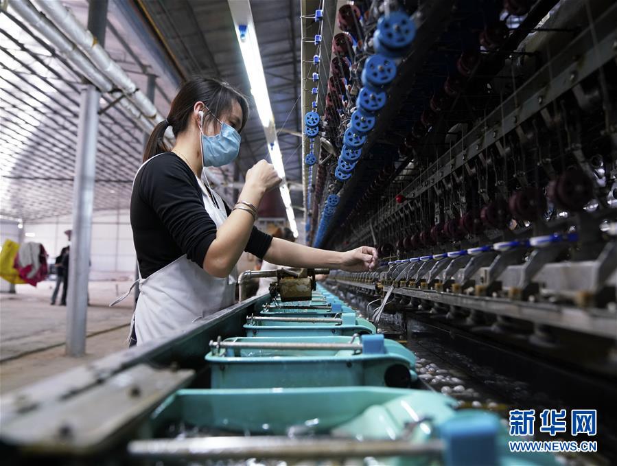 (决战决胜脱贫攻坚·图文互动)(4)贫困户的“收入账”——广西极贫县隆林各族自治县见闻