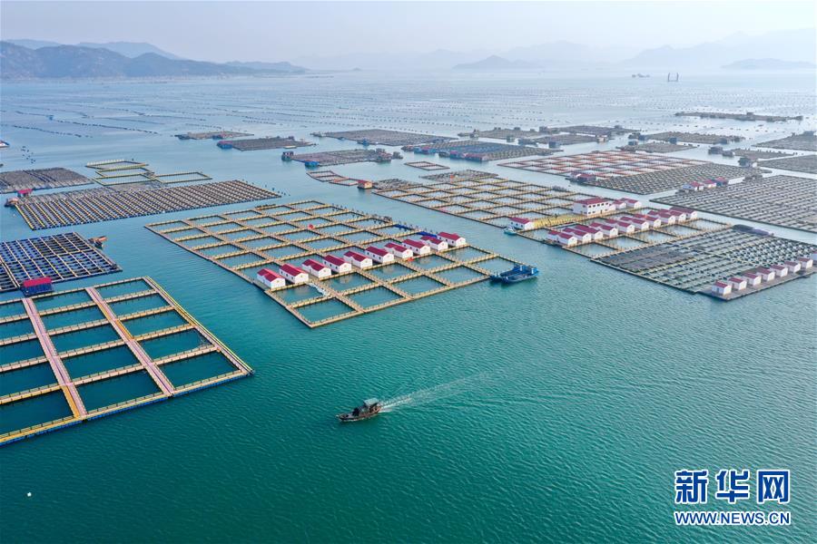 （新华全媒头条·图文互动）（10）永远的梦想 永恒的追求——写在北京世园会开幕一周年之际