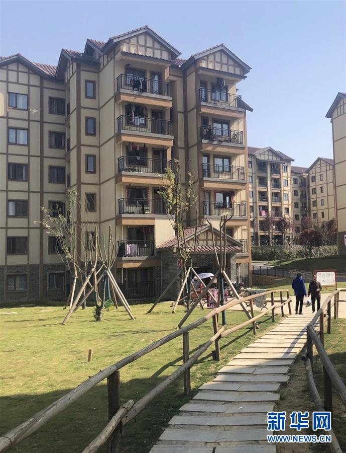 (图文互动)(2)柏杨林的“样板间”