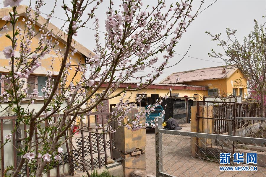 (图文互动)(1)“桃花源”里话丰年 ——帕米尔山区一处扶贫搬迁点见闻