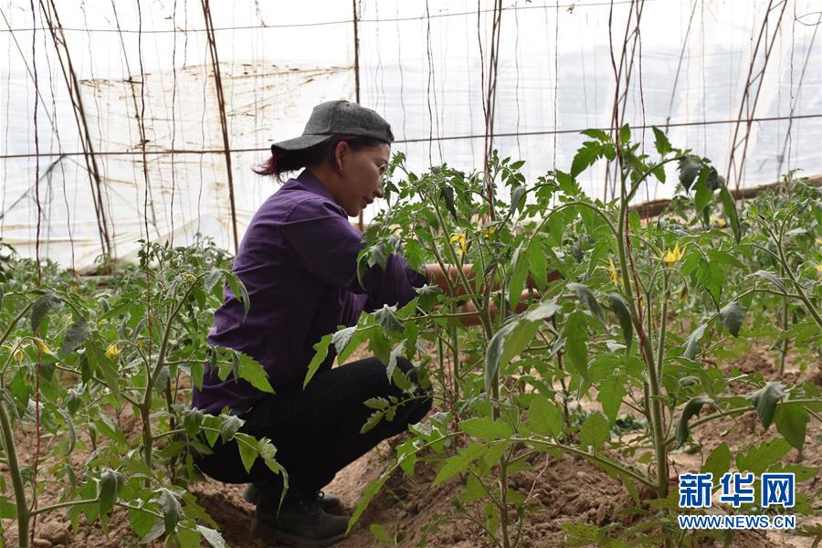 (图文互动)(2)“桃花源”里话丰年 ——帕米尔山区一处扶贫搬迁点见闻
