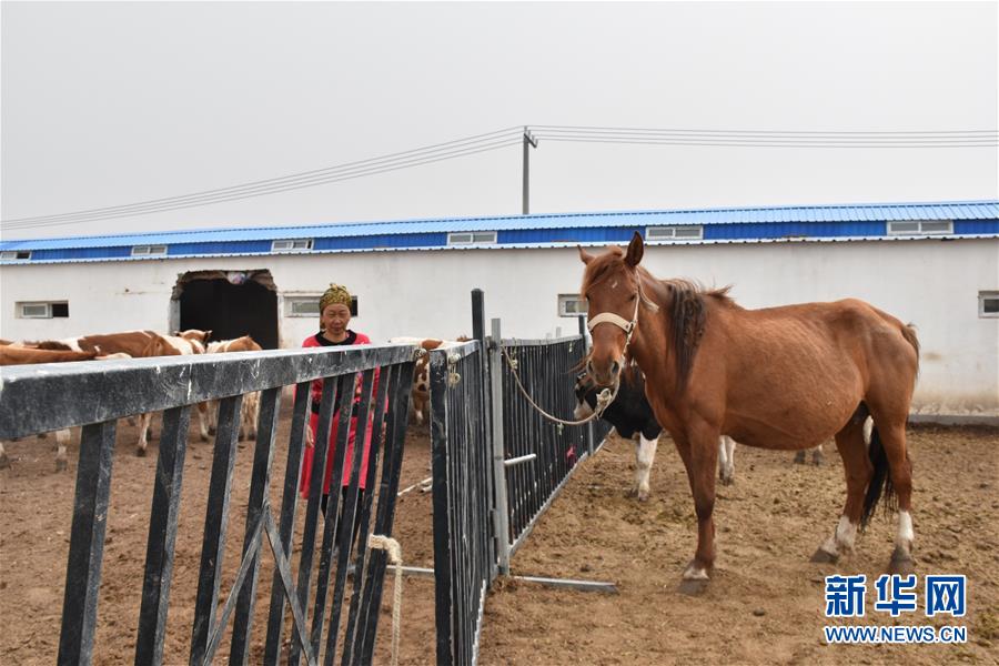 (图文互动)(4)“桃花源”里话丰年 ——帕米尔山区一处扶贫搬迁点见闻