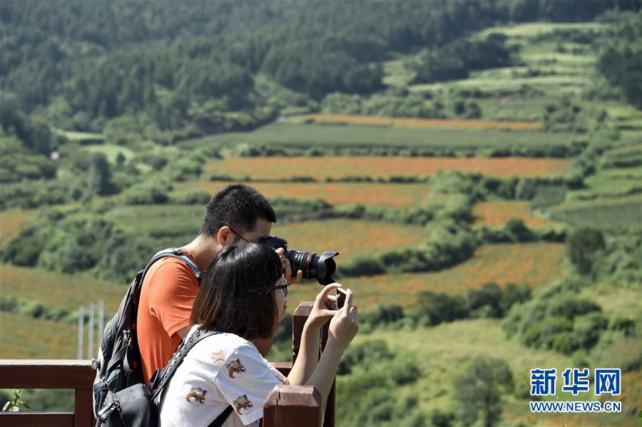 (图文互动)(1)这座小城,镌刻下怎样的“世园印记”——北京世园会开园一周年探访延庆