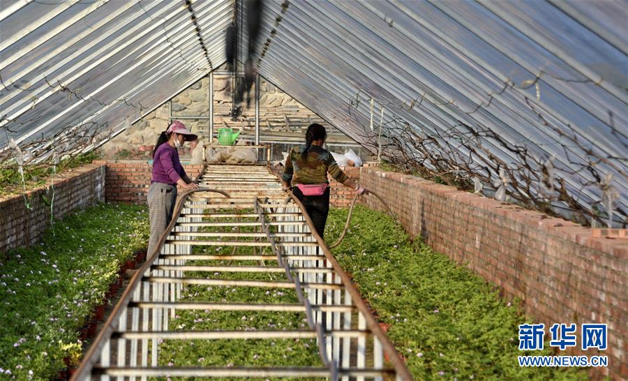 (图文互动)(2)这座小城,镌刻下怎样的“世园印记”——北京世园会开园一周年探访延庆