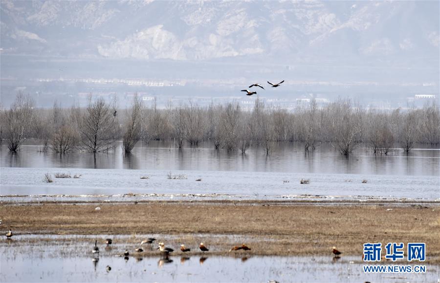 (图文互动)(3)这座小城,镌刻下怎样的“世园印记”——北京世园会开园一周年探访延庆