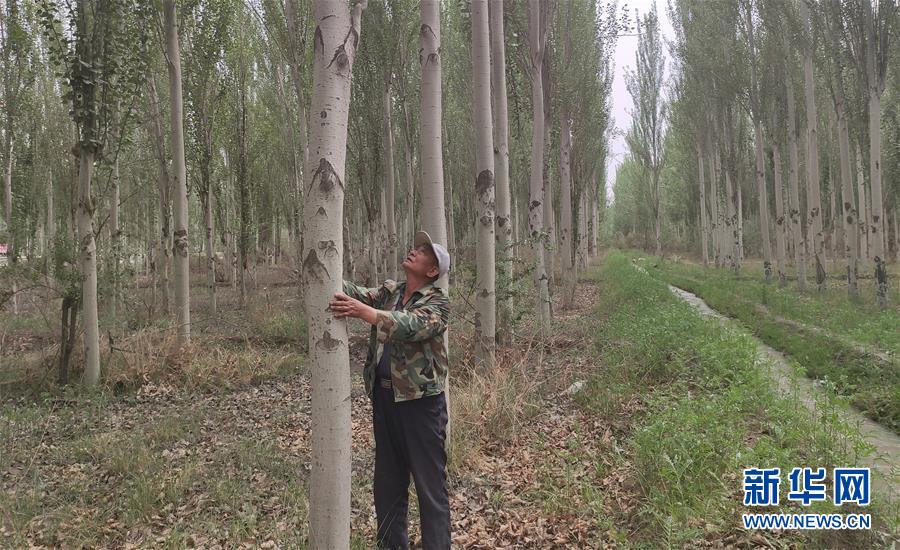(图文互动)(4)记者手记:向“看不见”的劳动者和他们的梦想致敬