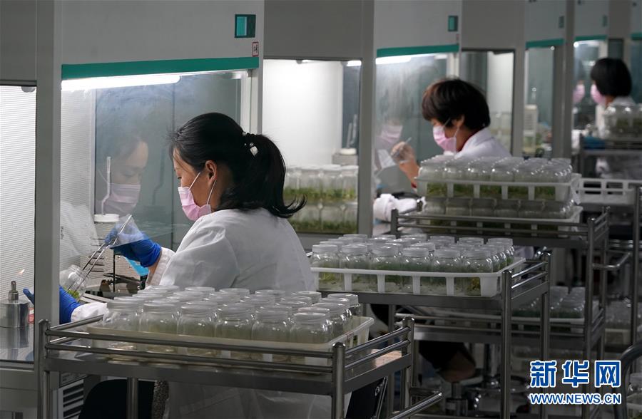 (来自一线的调查报告·图文互动)(6)抢出一个身位谋发展——河南许昌经济复苏见闻