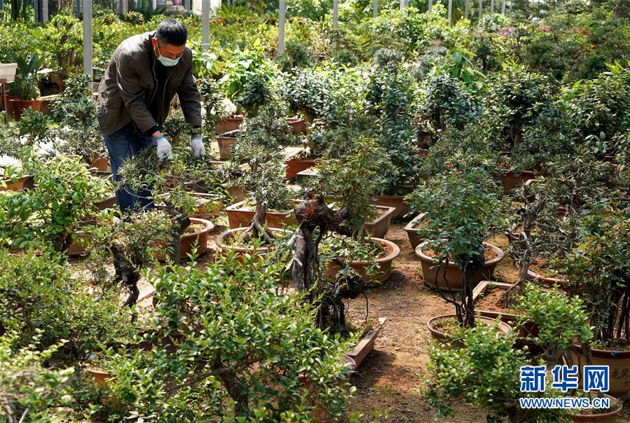 (来自一线的调查报告·图文互动)(7)抢出一个身位谋发展——河南许昌经济复苏见闻