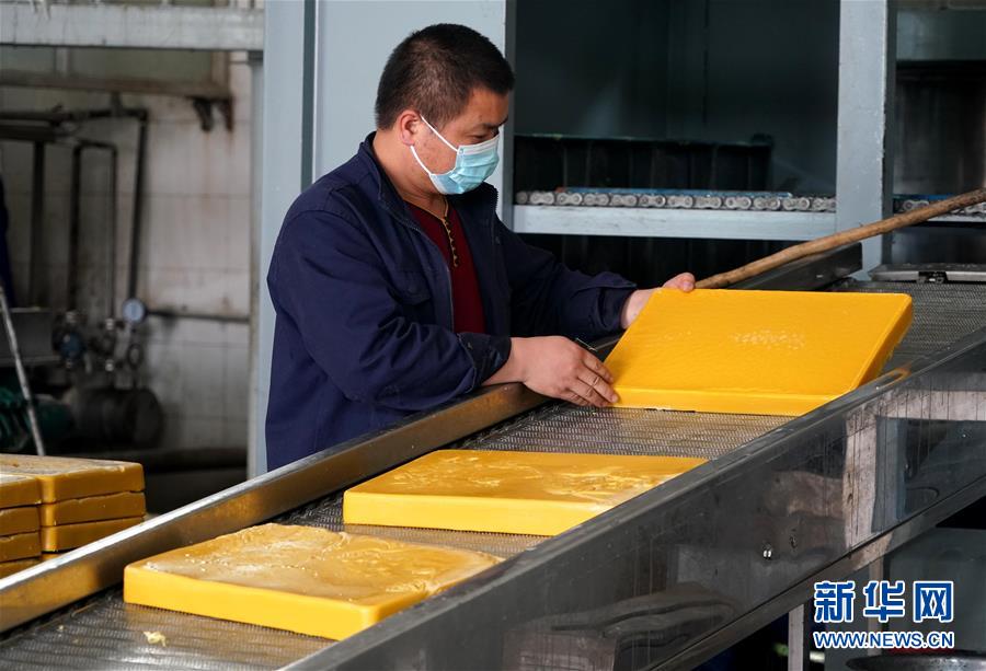 (来自一线的调查报告·图文互动)(8)抢出一个身位谋发展——河南许昌经济复苏见闻