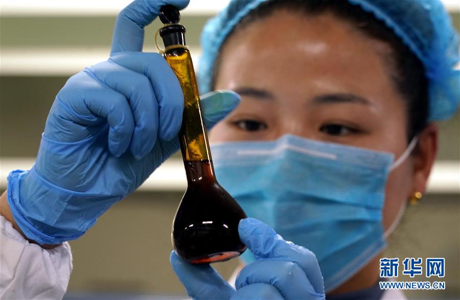 (来自一线的调查报告·图文互动)(10)抢出一个身位谋发展——河南许昌经济复苏见闻