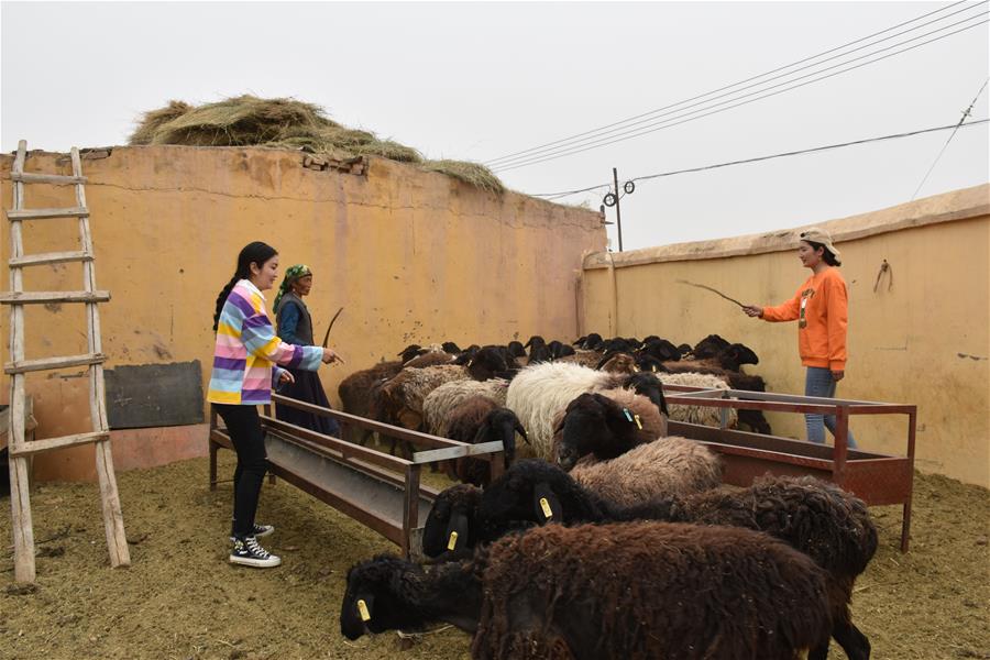 (决战决胜脱贫攻坚·图文互动)(3)帕米尔“姐妹花”:山区放羊娃成为都市大学生