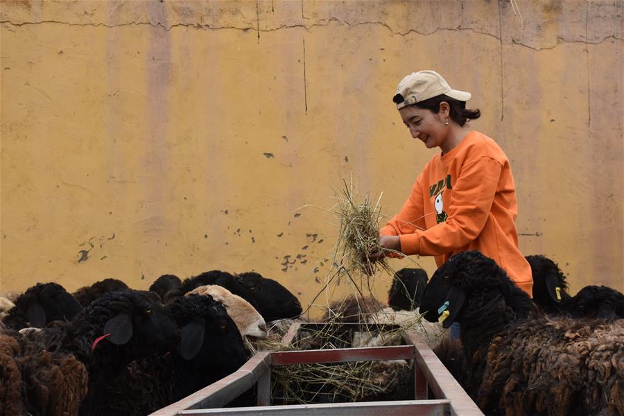 (决战决胜脱贫攻坚·图文互动)(6)帕米尔“姐妹花”:山区放羊娃成为都市大学生