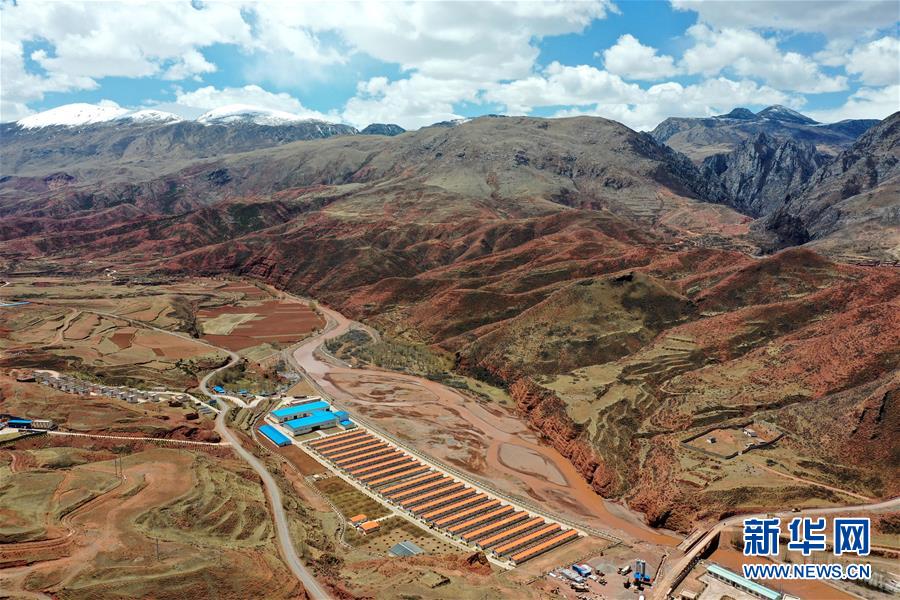 （决战决胜脱贫攻坚·图文互动）（1）“阿旺绵羊”成就大产业——西藏贡觉县做大做强扶贫产业见闻