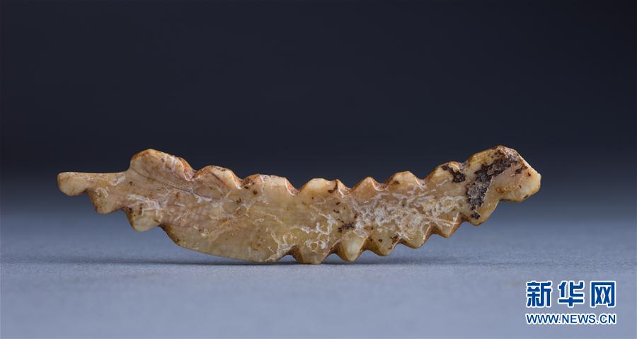 (图文互动)(13)河南巩义“河洛古国”重大考古成果发布