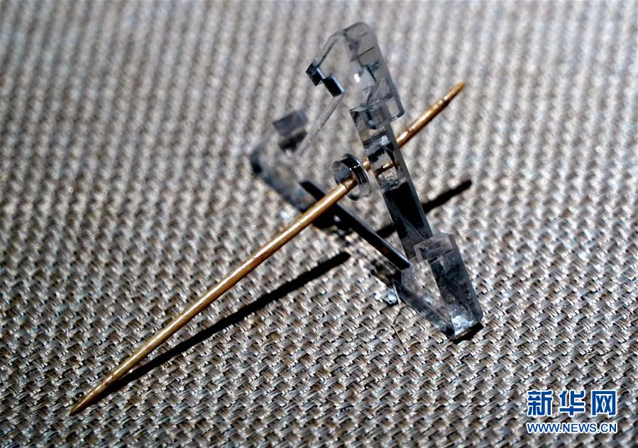 (图文互动)(14)河南巩义“河洛古国”重大考古成果发布