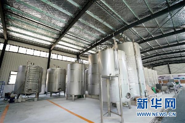 (决战决胜脱贫攻坚·图文互动)(5)西藏昌都“甜蜜”产业助脱贫