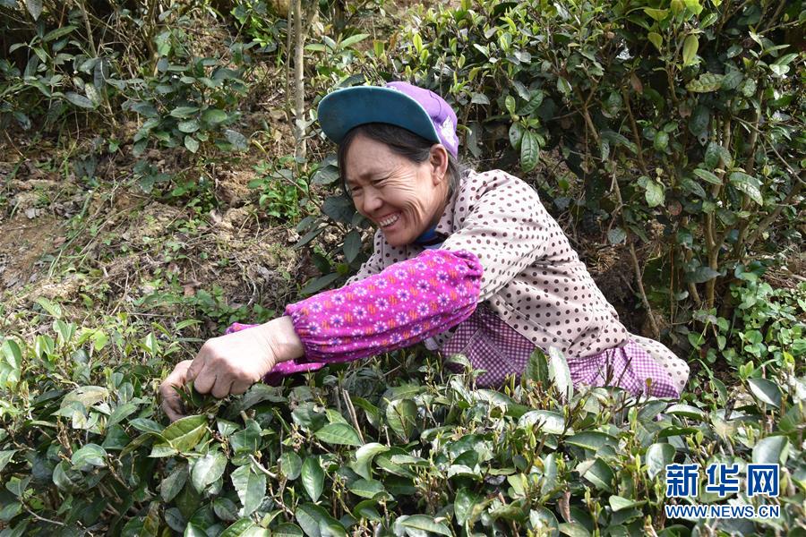 (图片互动)(1)再访贵州极贫乡镇看“四变”