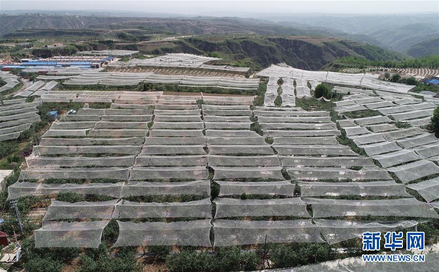 (新华全媒头条·图文互动)(1)习近平的扶贫故事