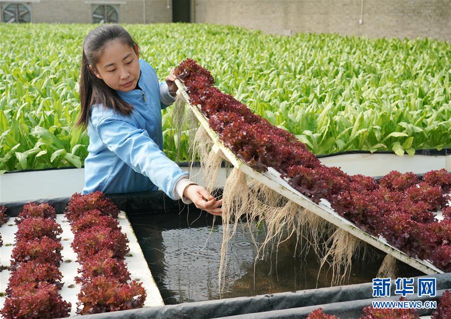 (新华全媒头条·图文互动)(2)习近平的扶贫故事