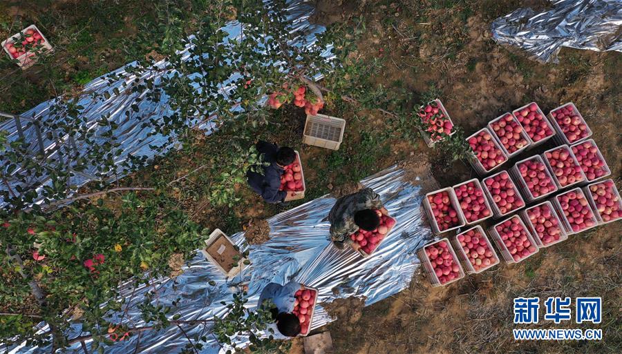 (新华全媒头条·图文互动)(19)习近平的扶贫故事