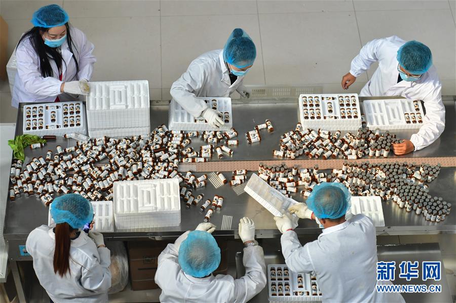 （社会）（5）从&ldquo;穷窝窝&rdquo;到风景区&mdash;&mdash;吕梁小山村&ldquo;搬&rdquo;出新未来