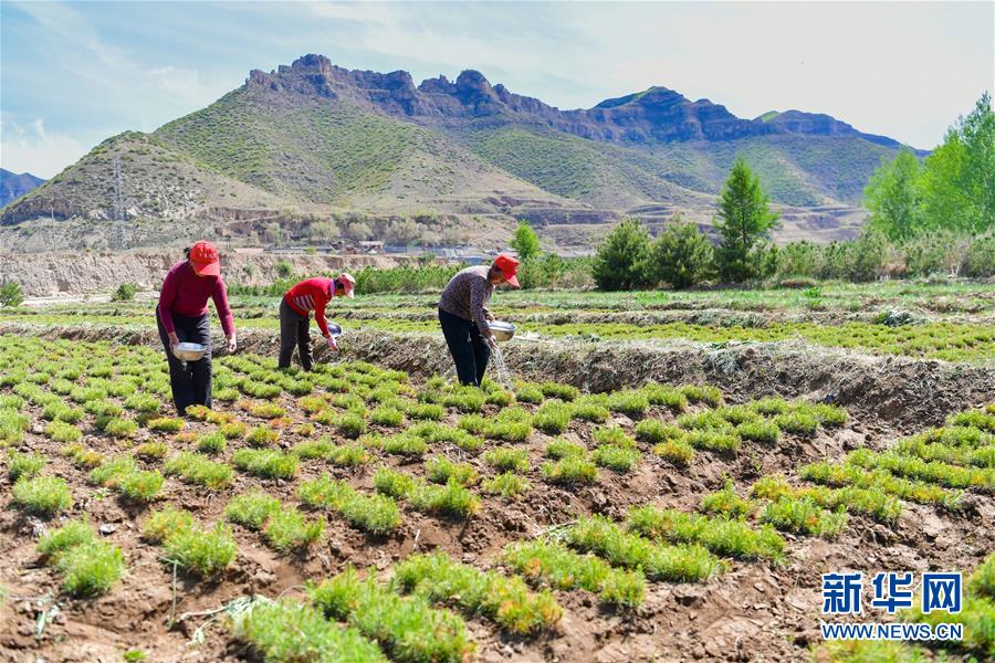 （社会）（11）从&ldquo;穷窝窝&rdquo;到风景区&mdash;&mdash;吕梁小山村&ldquo;搬&rdquo;出新未来