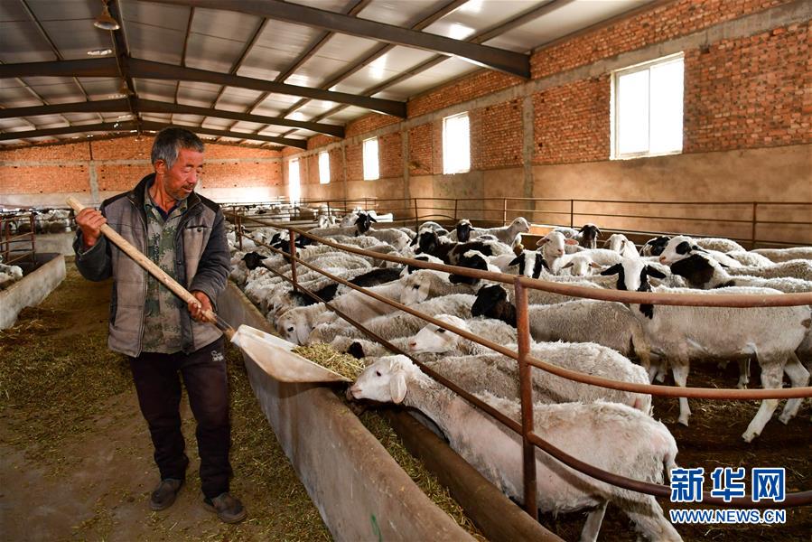 （社会）（13）从&ldquo;穷窝窝&rdquo;到风景区&mdash;&mdash;吕梁小山村&ldquo;搬&rdquo;出新未来