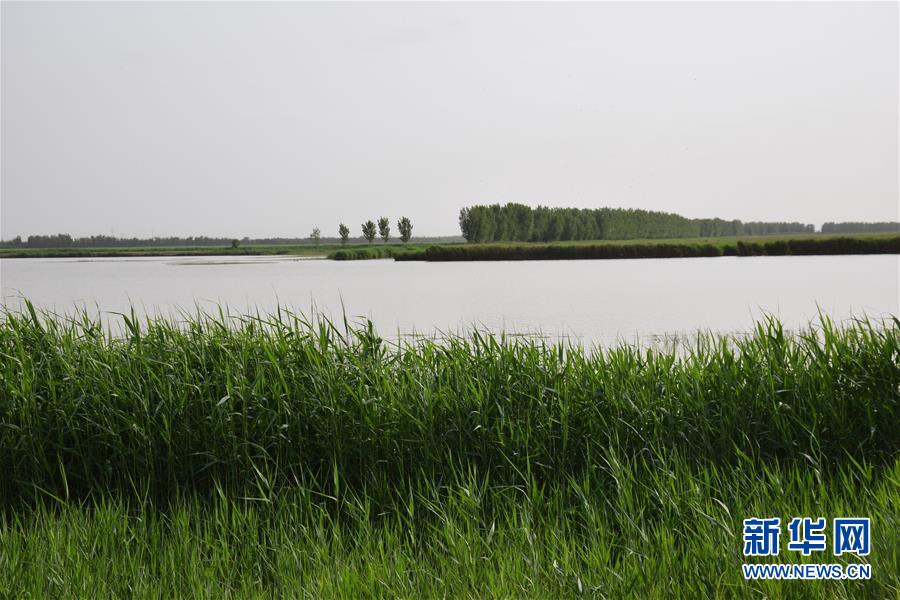 (图文互动)(2)巡护员镜头下的“京津绿肺”变身记