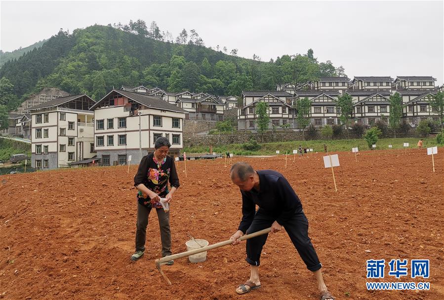 (决战决胜脱贫攻坚·图文互动)(1)一分菜园稳“心迁”