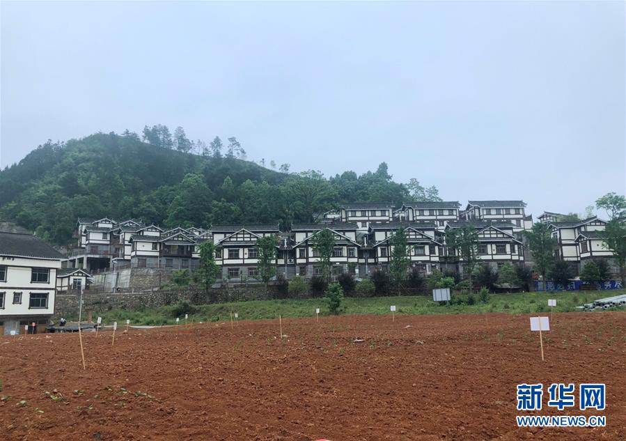 (决战决胜脱贫攻坚·图文互动)(2)一分菜园稳“心迁”