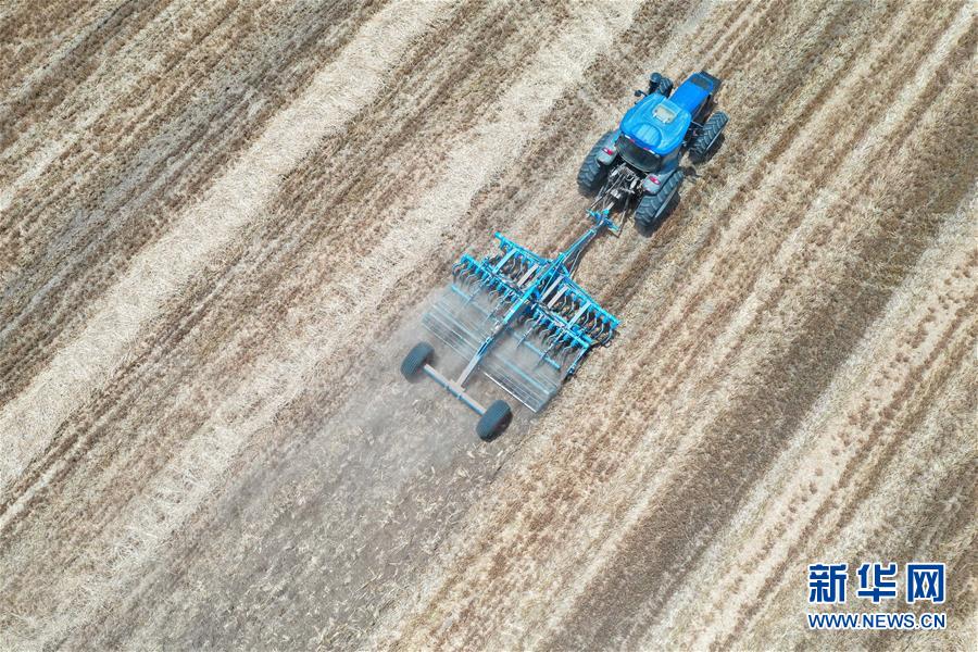 (关注三夏·图文互动)(4)效率提高 模式变革——河南麦收新观察