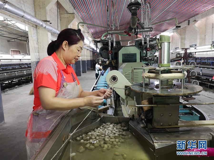 (决战决胜脱贫攻坚·图文互动)(2)桑蚕养殖助力太行山区农户增收