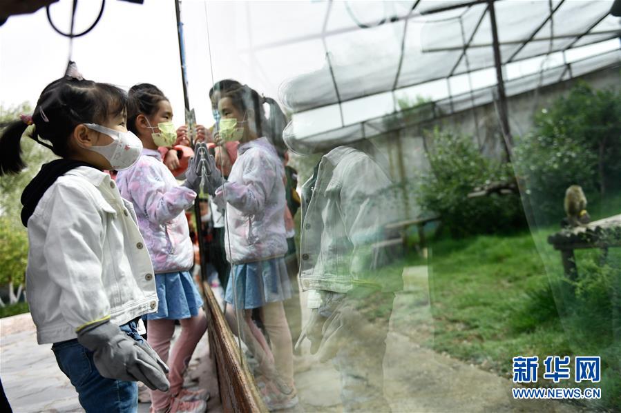 (图文互动)(2)青海西宁:和野生动物们共度“六一”