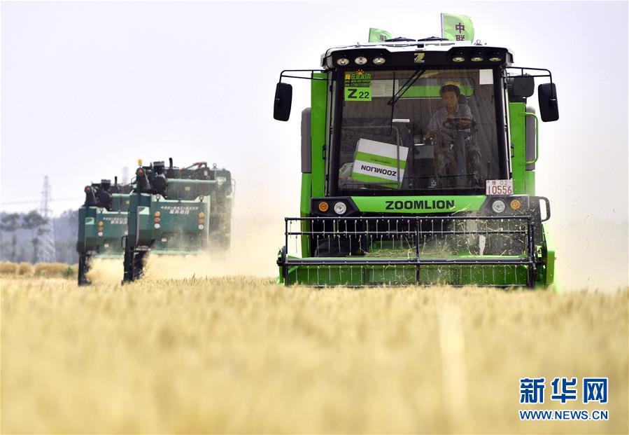 (在习近平新时代中国特色社会主义思想指引下——新时代新作为新篇章·习近平总书记关切事·图文互动)(12)让农民挑上“金扁担”——农业现代化的生动实践扫描